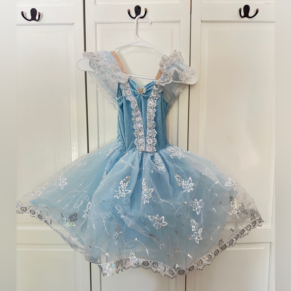Revolution Ballet Cinderella dance costume. Velvet, lace and tulle. Like new